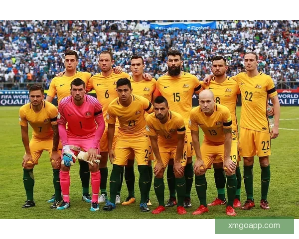 2026世界杯精彩赛程与关键数据全面解析与趋势预测