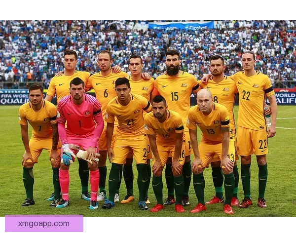 2026世界杯精彩赛程与关键数据全面解析与趋势预测