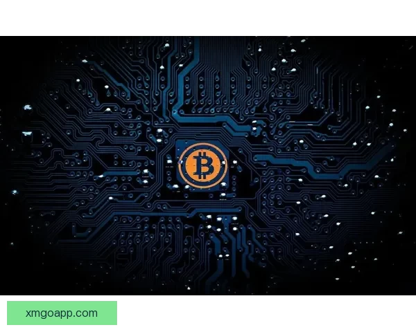 拉齐奥动态解析努诺塔瓦雷斯成长与佩德罗诺斯林竞争态势
